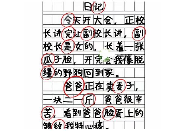 《脑洞人爱汉字》纠正错别字日记怎么过