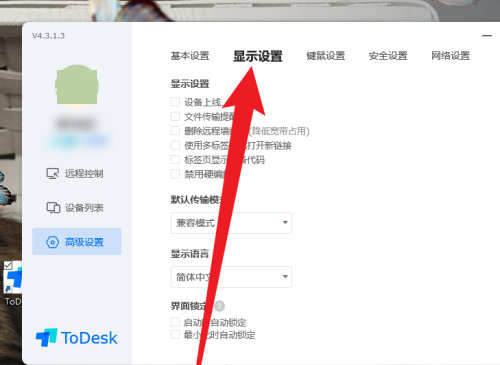 《ToDesk》怎么设置标签页显示设备代码