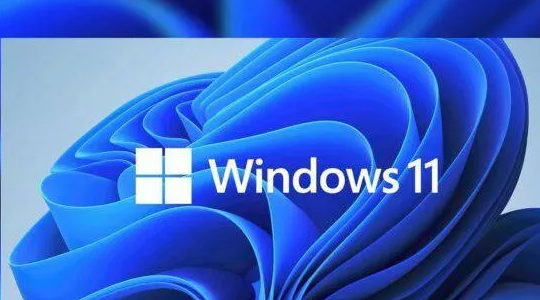 Win11小组件