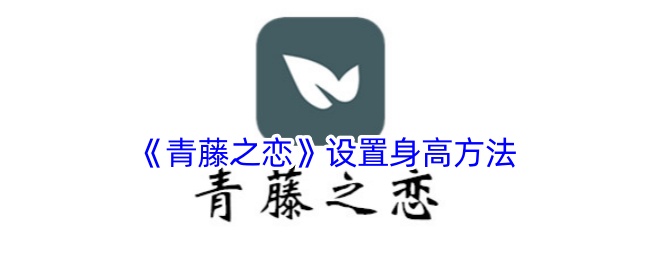 《青藤之恋》设置身高方法