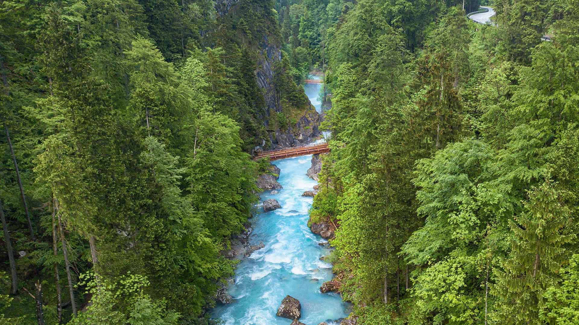 微软壁纸探索世界0331-斯太尔河奥地利（Steyr River Austria）