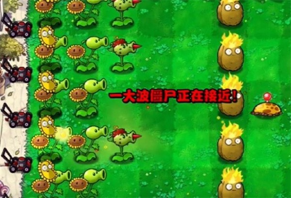 《植物大战僵尸杂交版》冒险模式第3关如何通关