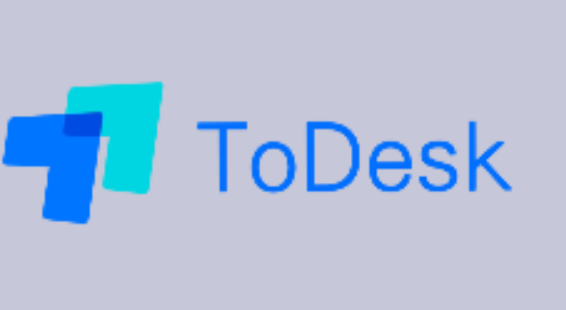 《ToDesk》每次连接都使用新密码设置方法