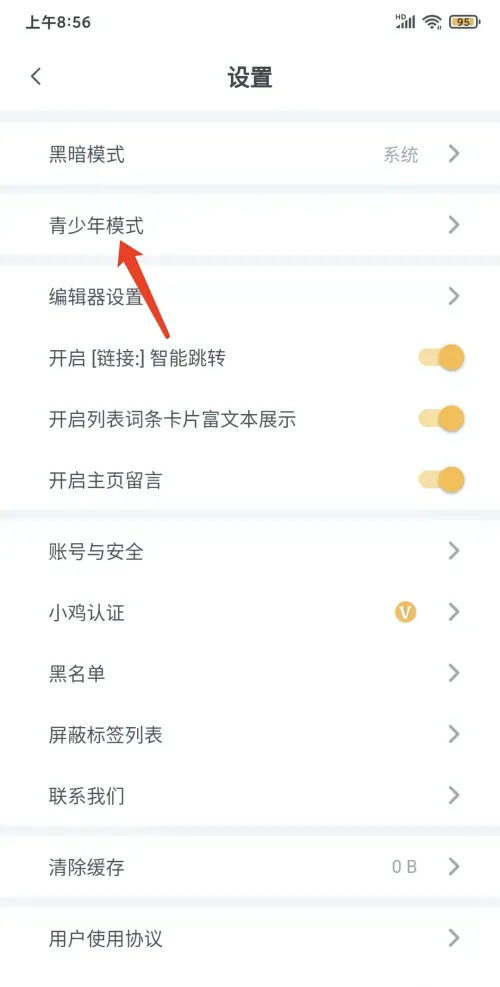 《小鸡词典》怎么设置青少年模式