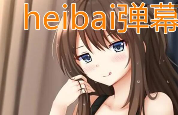 《heibai弹幕》怎么登录不了,该怎么弄?