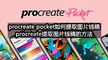 Procreate Pocket